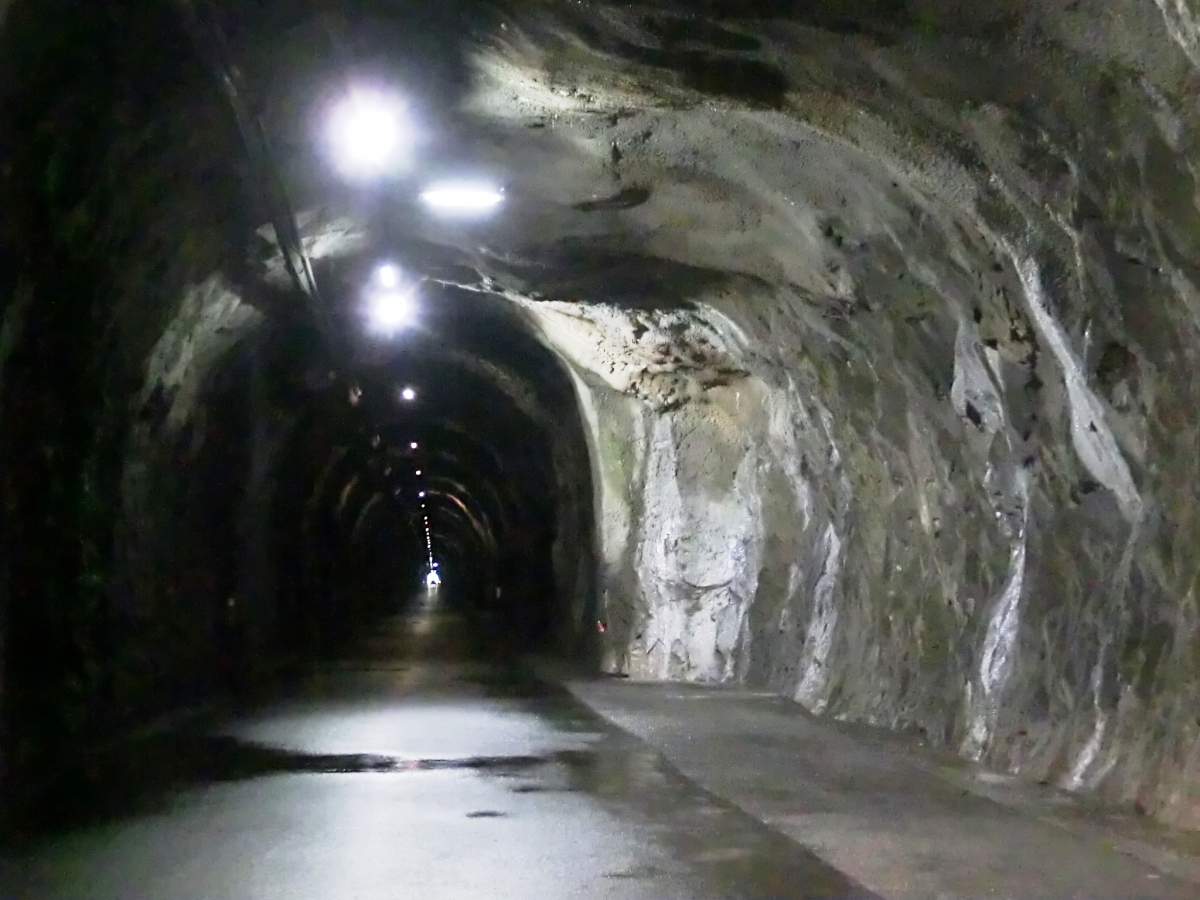 Steinmatten Tunnel 