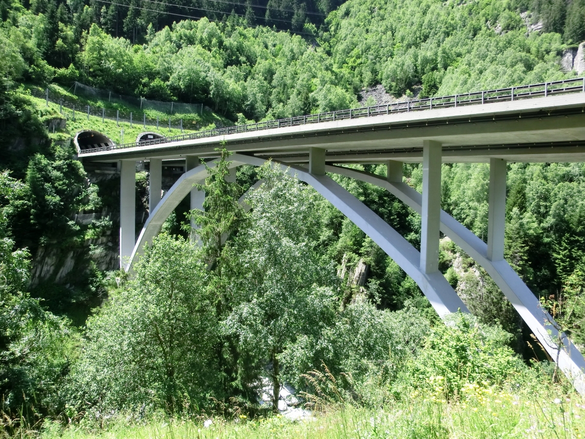 Naxberg Bridge and on the left, Naxberg Tunnel northern portals 