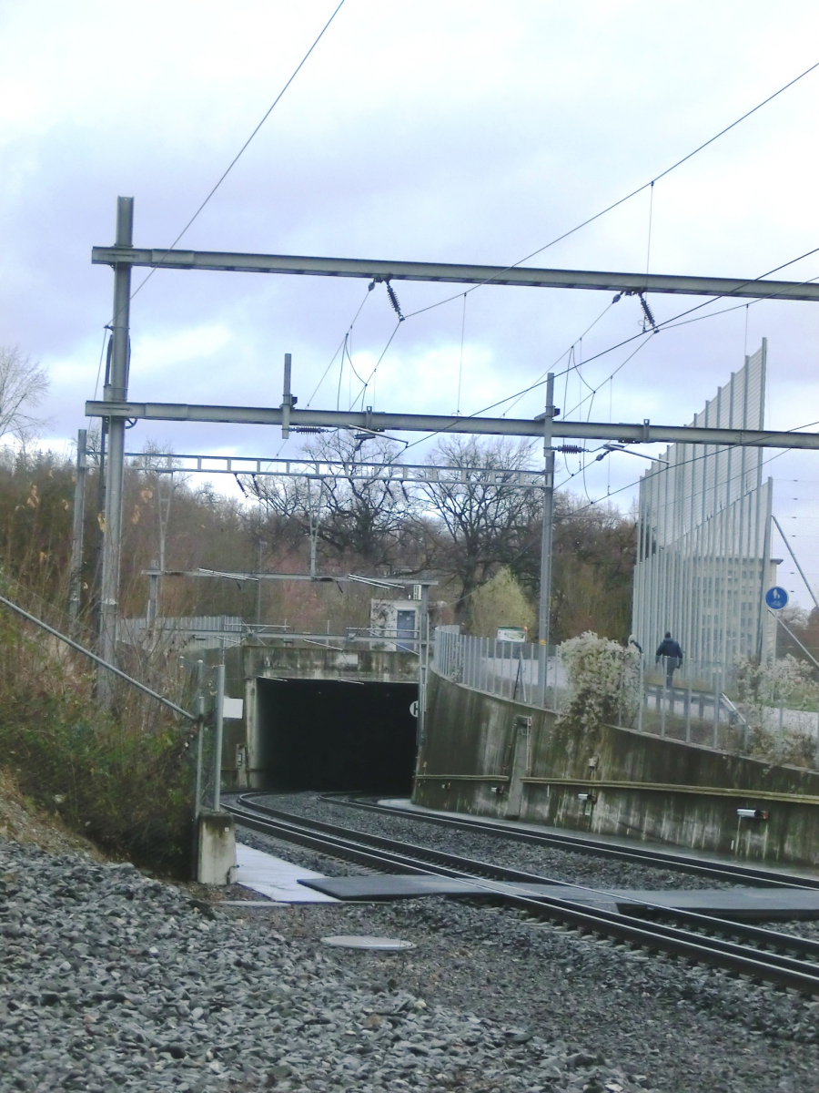 Allmend-Hubelmatt Tunnel southern portal 