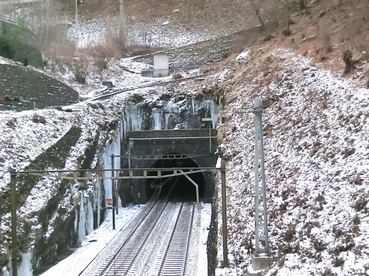 Freggio Tunnel lower portal 