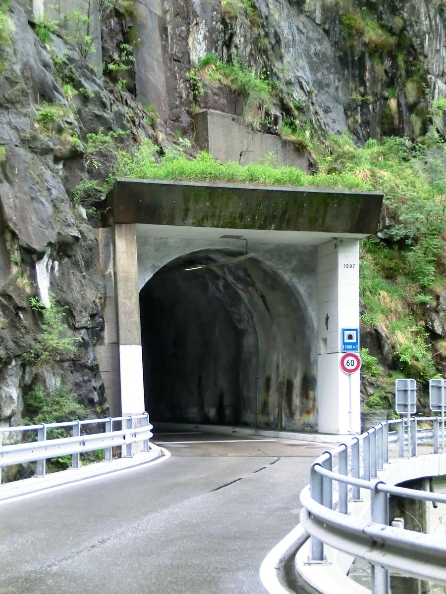Mergoscia Tunnel southern portal 