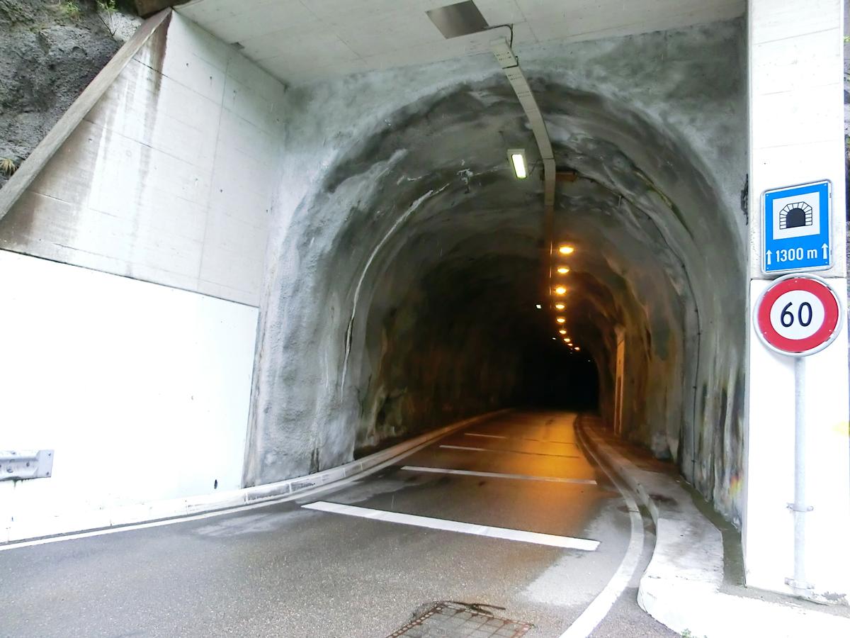 Mergoscia Tunnel southern portal 