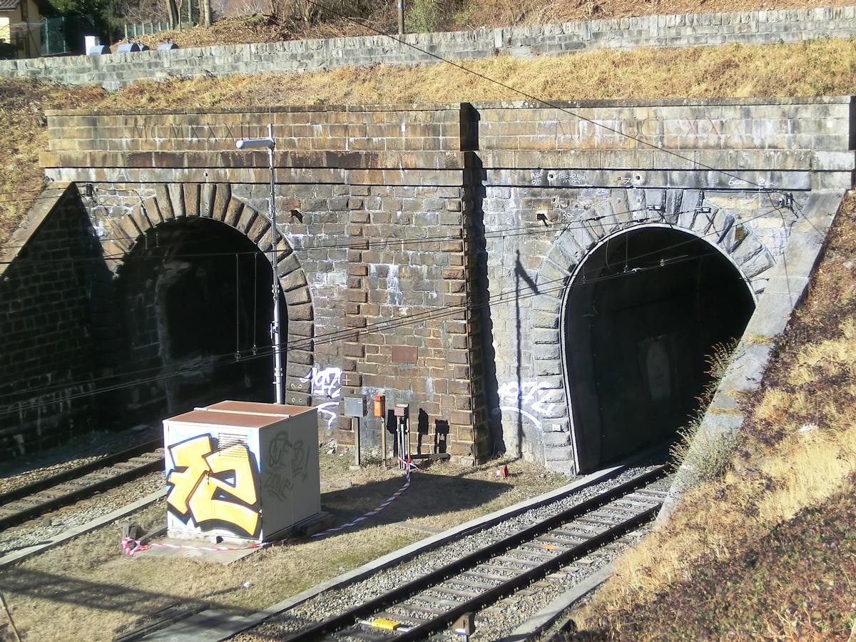 Monte Ceneri Tunnel southern portals 