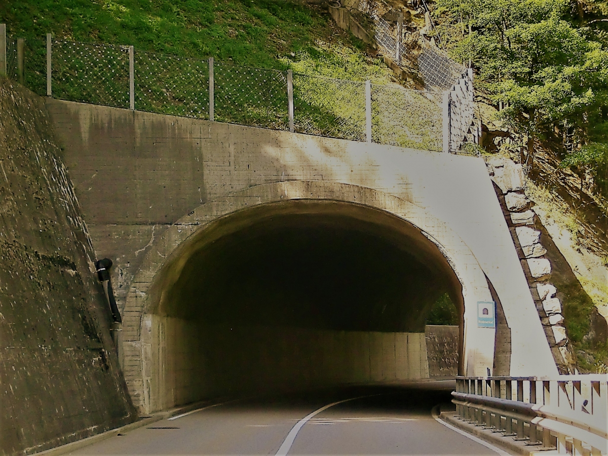 Bodmental Tunnel southern portal 