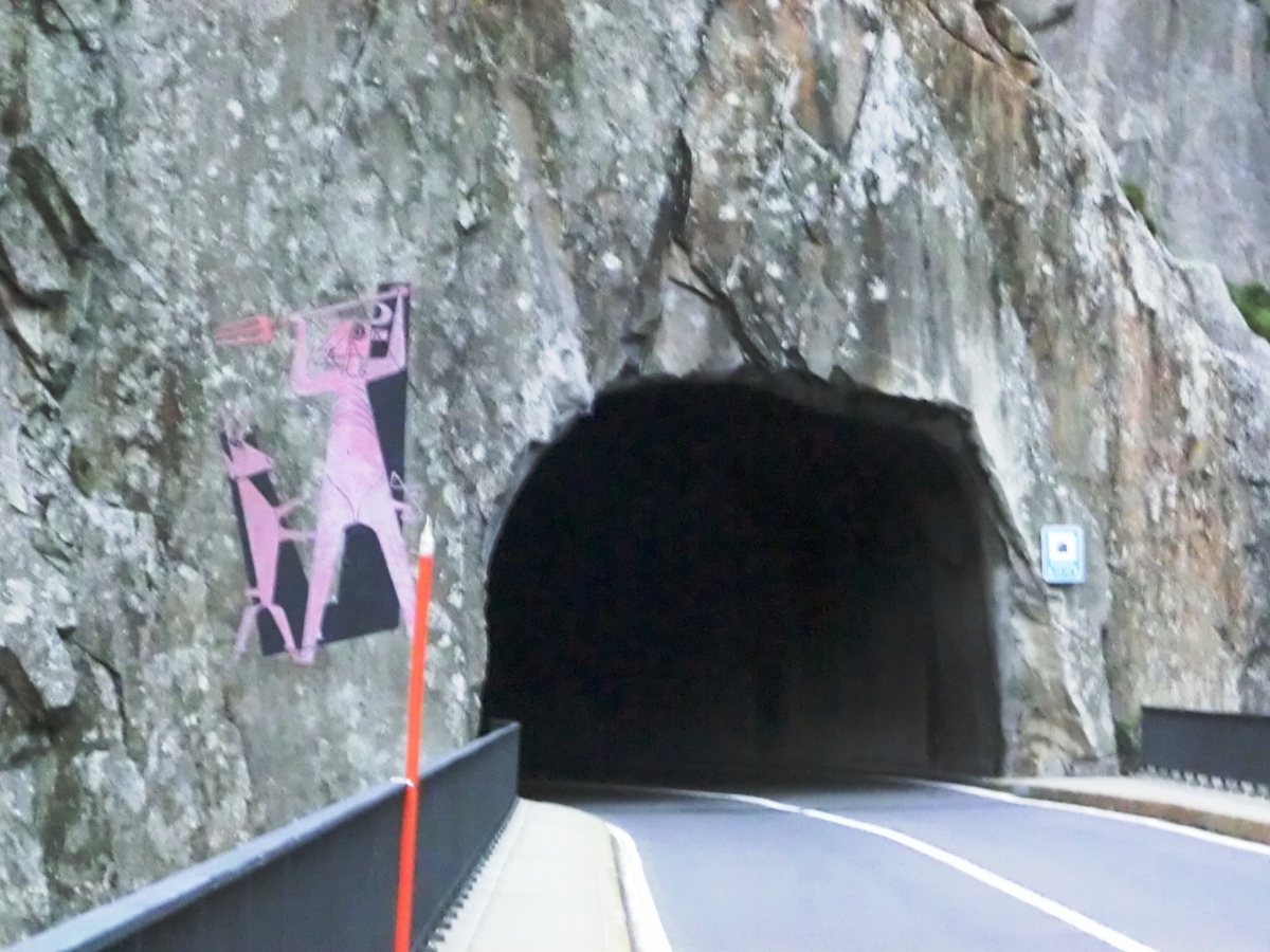 Tunnel de Bruggwaldboden-Fodegg 