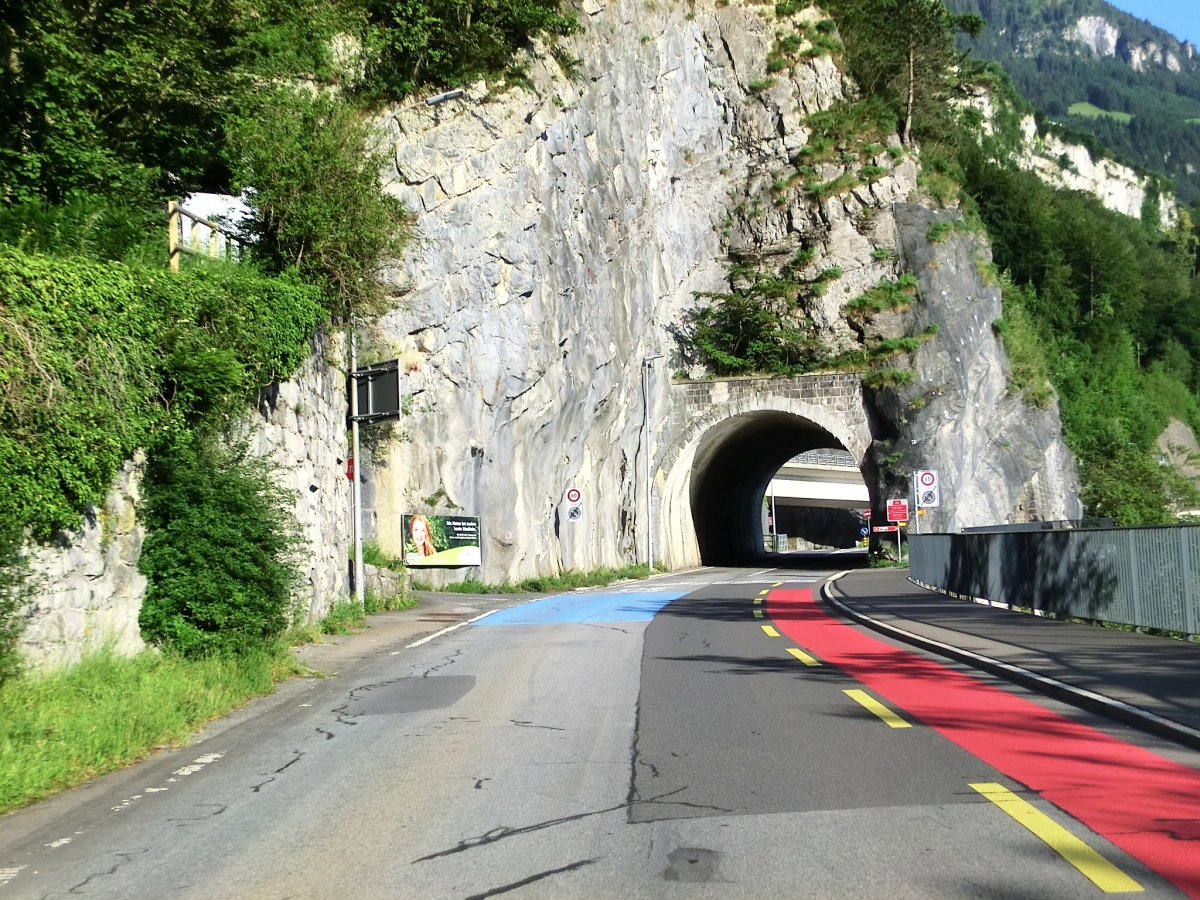 Brunnen Tunnel northern portal 