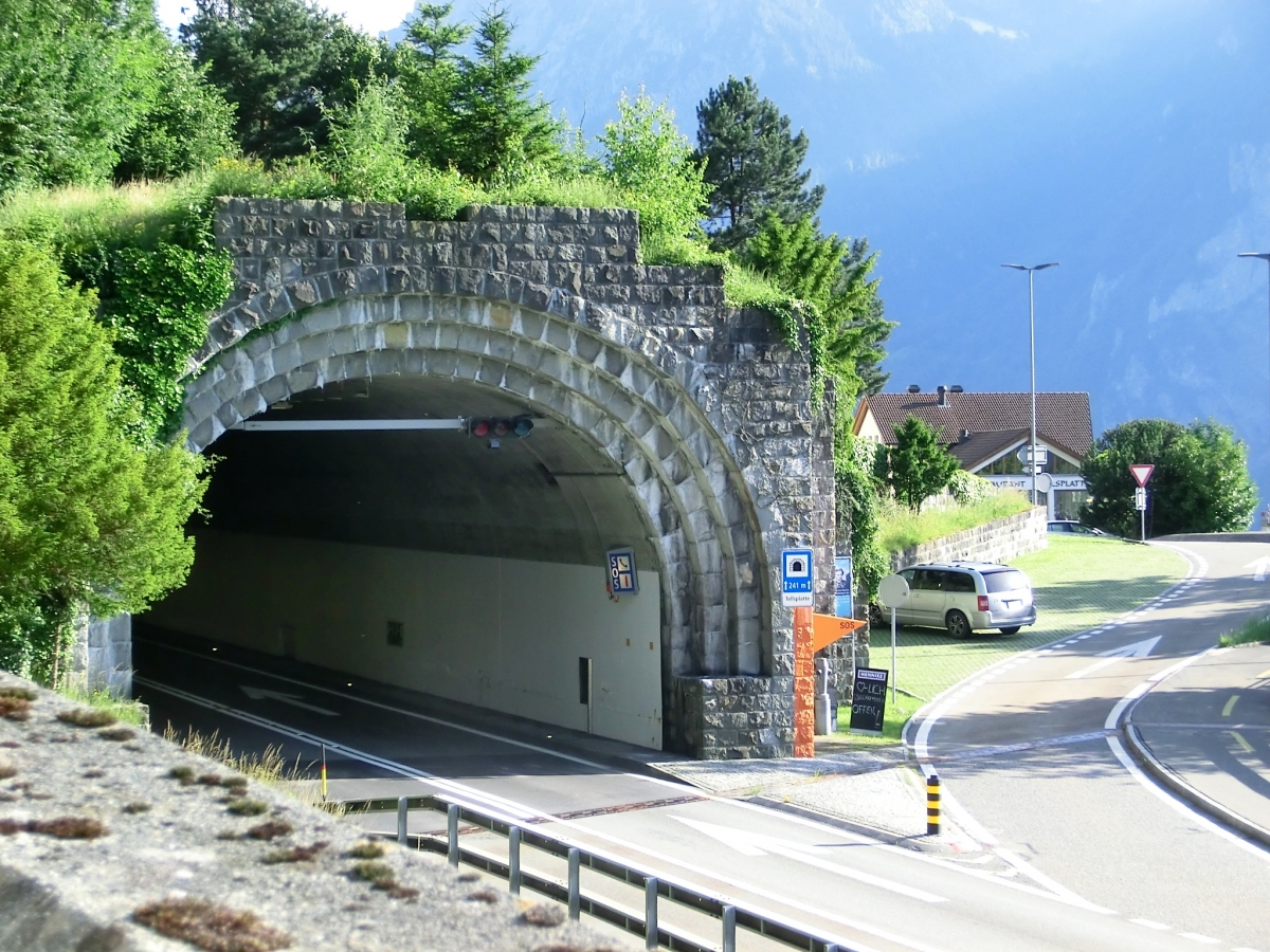 Tellsplatte Tunnel northern portal 