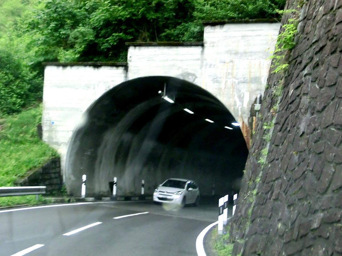 Tunnel de Verzasca 1 