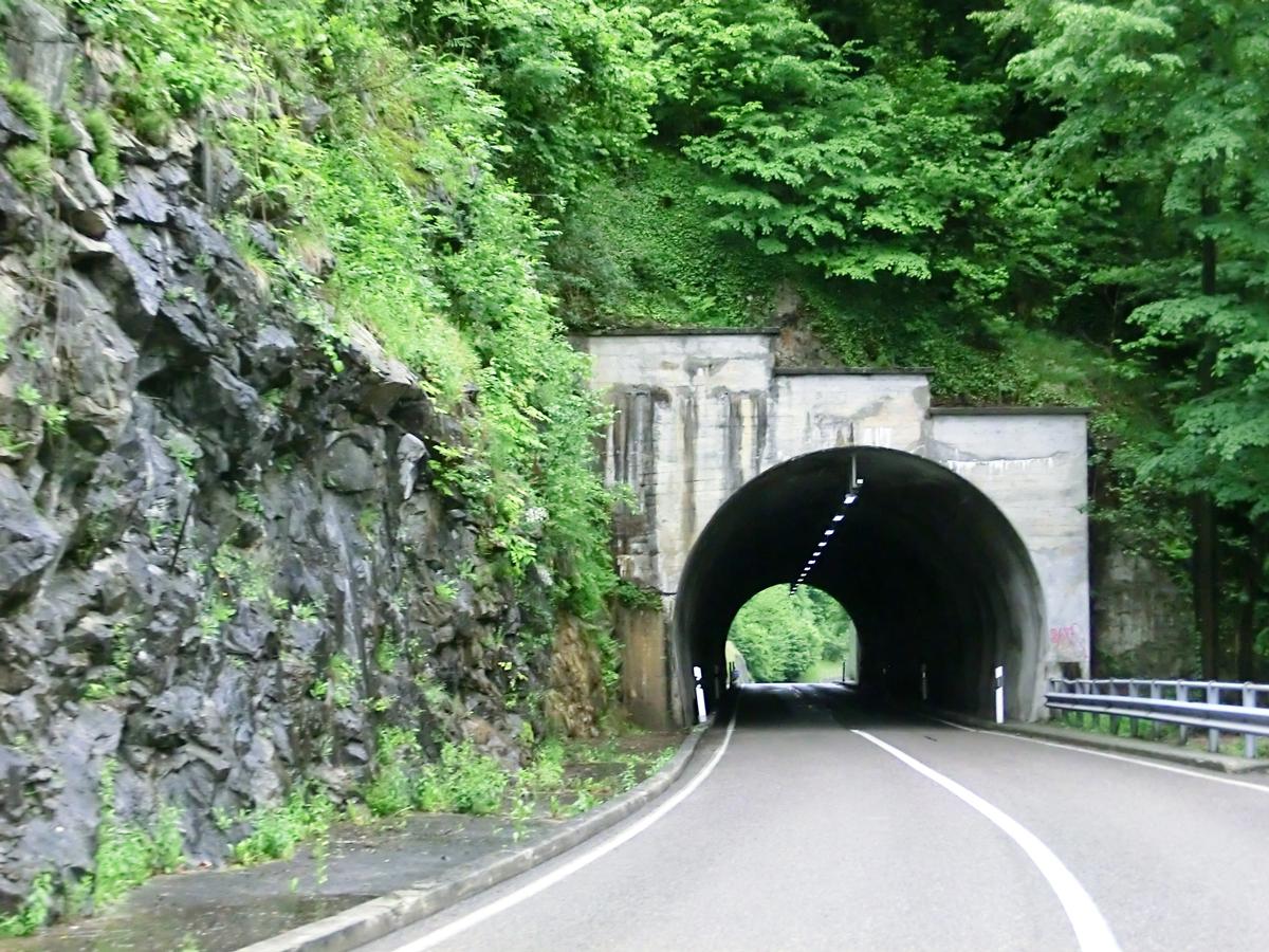 Tunnel de Verzasca 3 