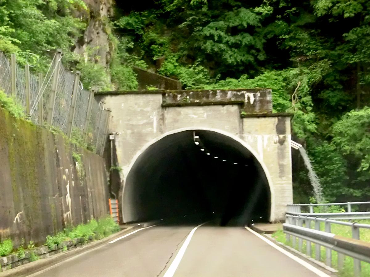 Tunnel de Verzasca 4 