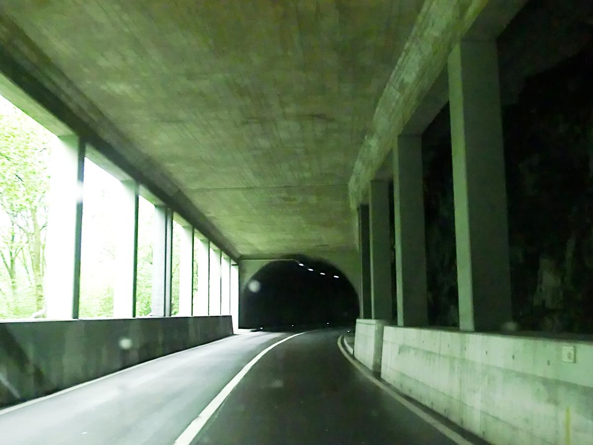 Tunnel de Verzasca 4 