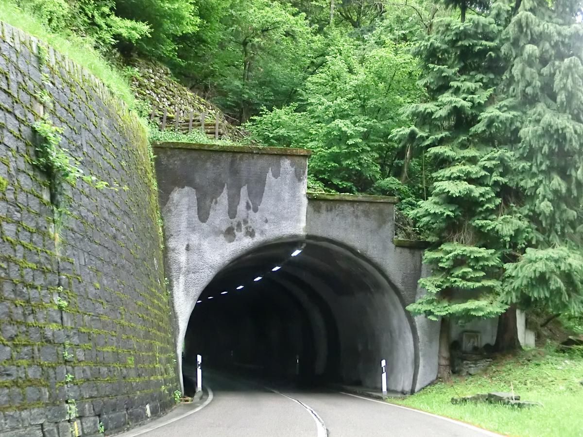 Tunnel Verzasca 5 
