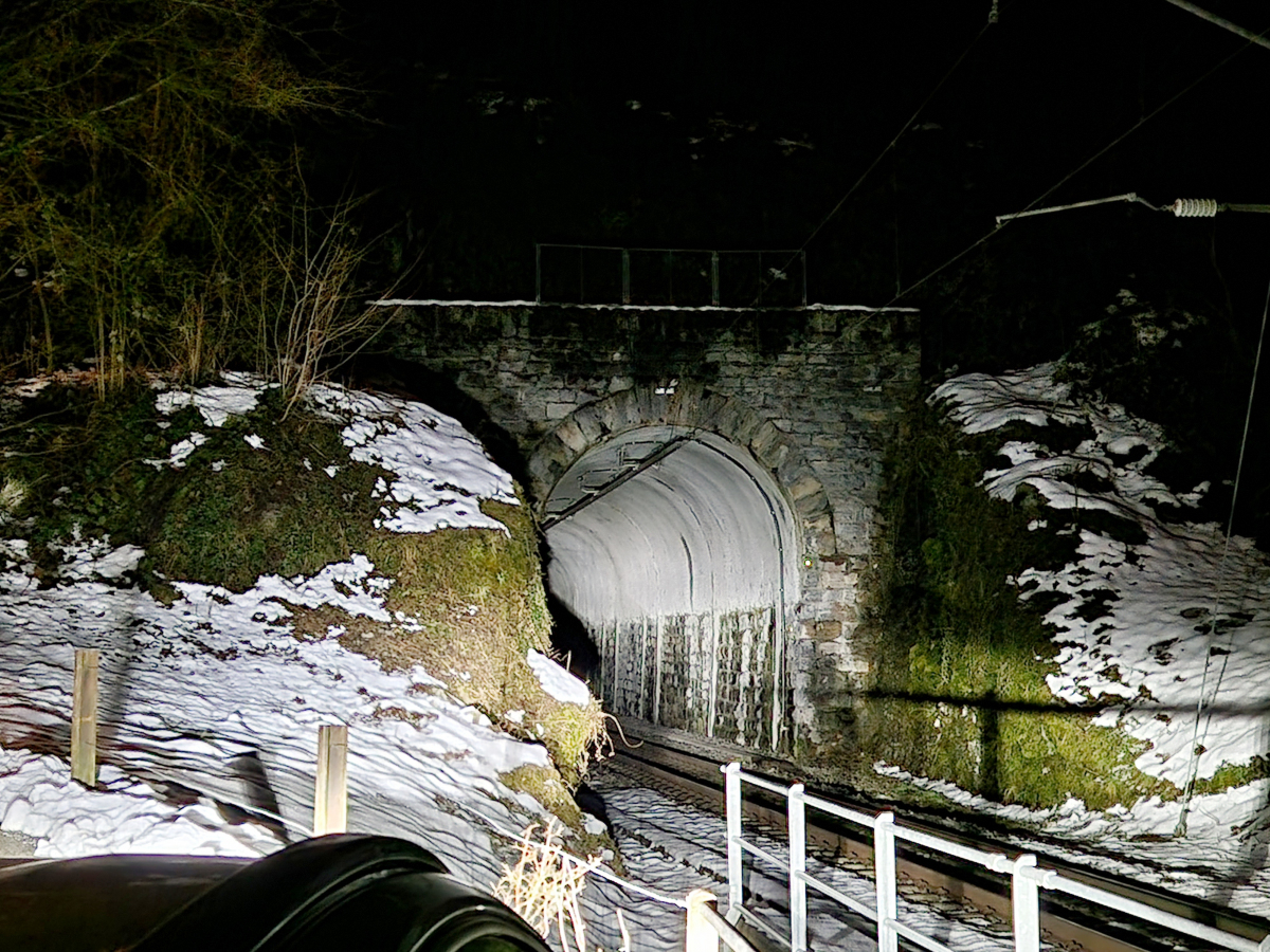 Tunnel de Bürgli 