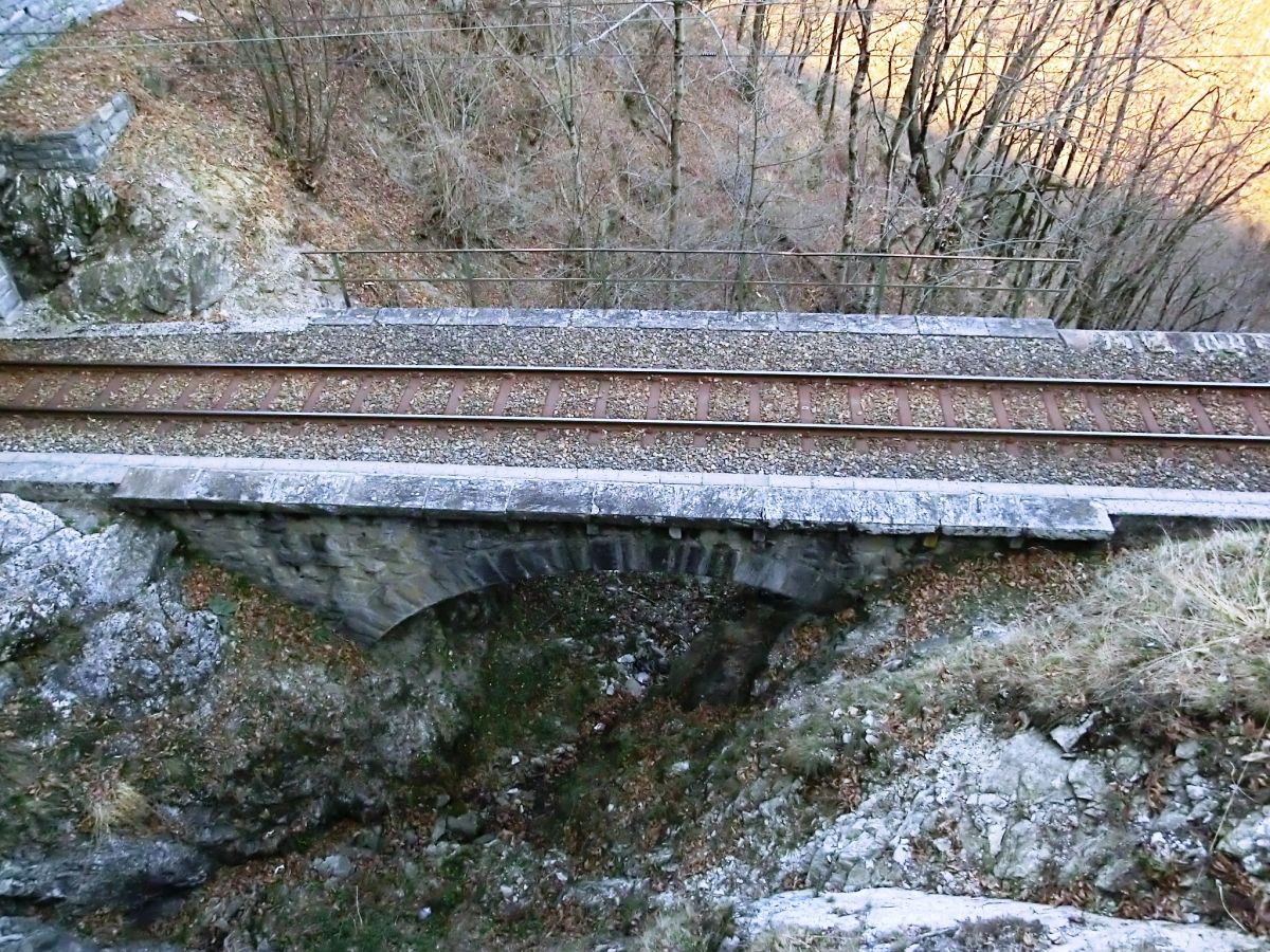 Verguno Bridge on Vigezzina Railway 