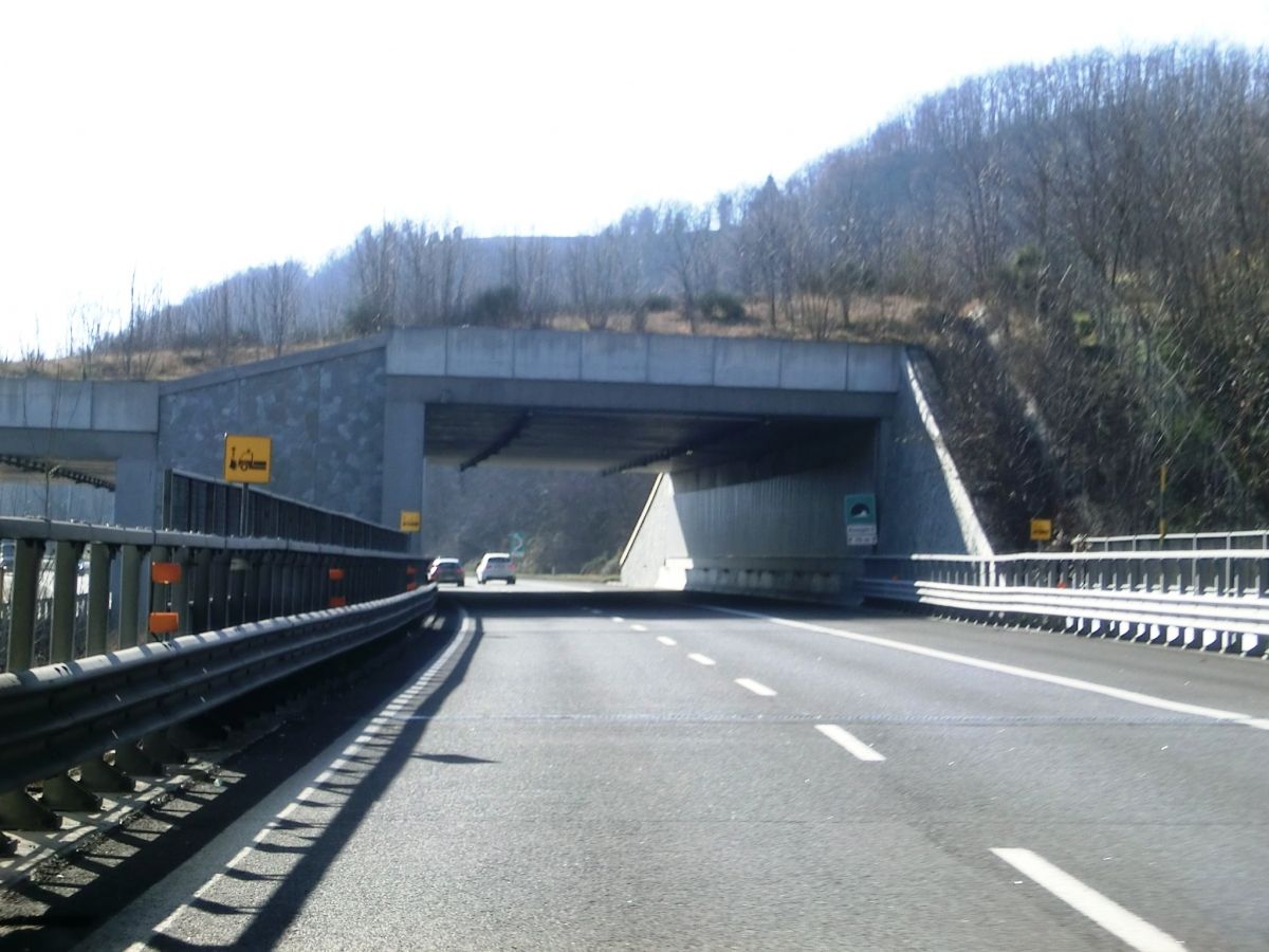 Rioveggio 2 Tunnel northern portals 