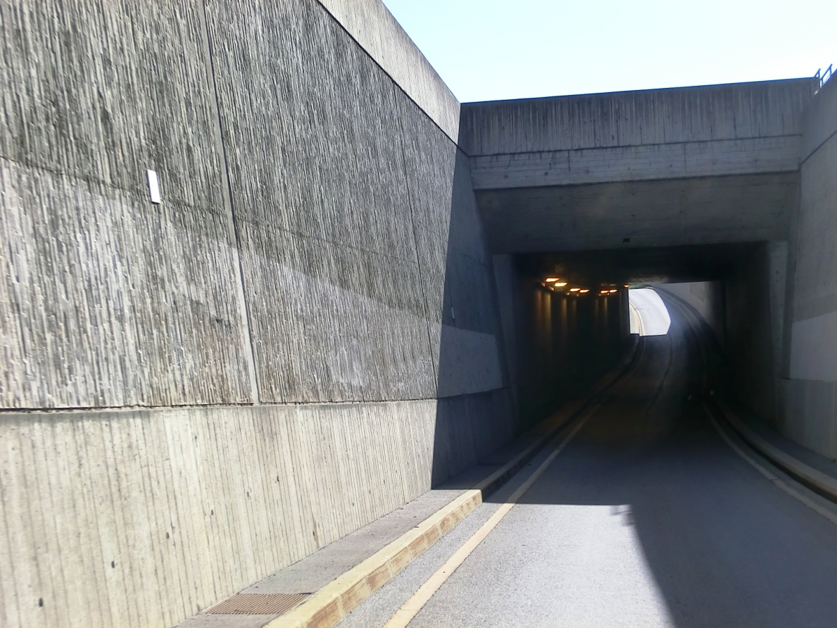 Untereisenbahn Tunnel branch portal 