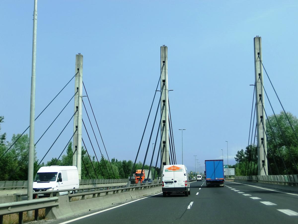 Ljubljanica Bridge 