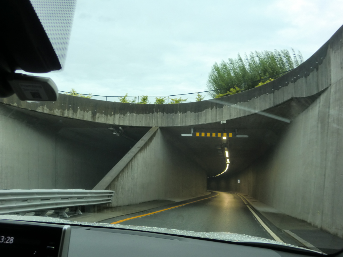 Tunnel de Eiganes 