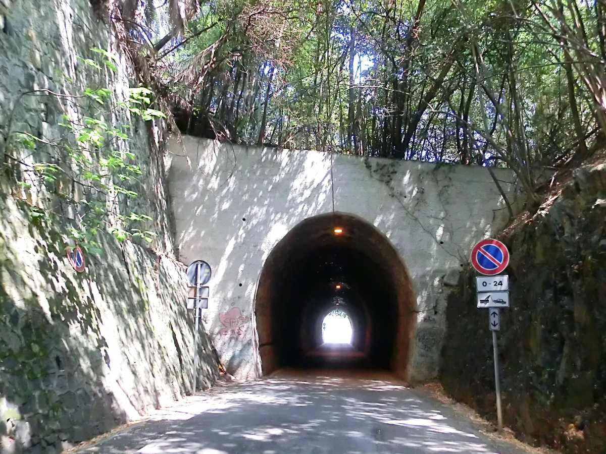 Tunnel de Larestra 1 