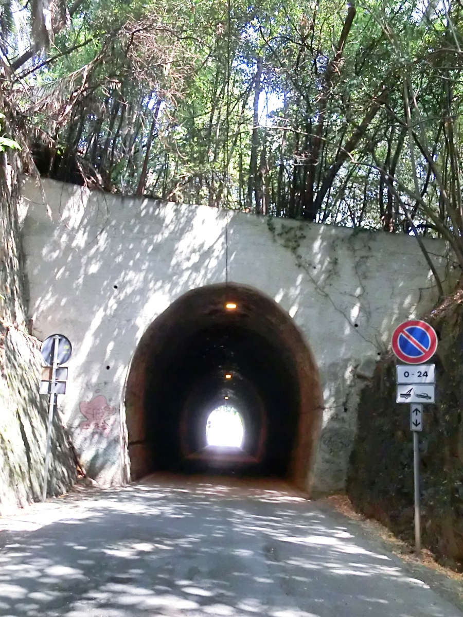 Tunnel Larestra 1 