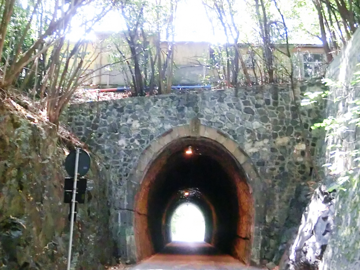 Larestra 2 Tunnel eastern portal 