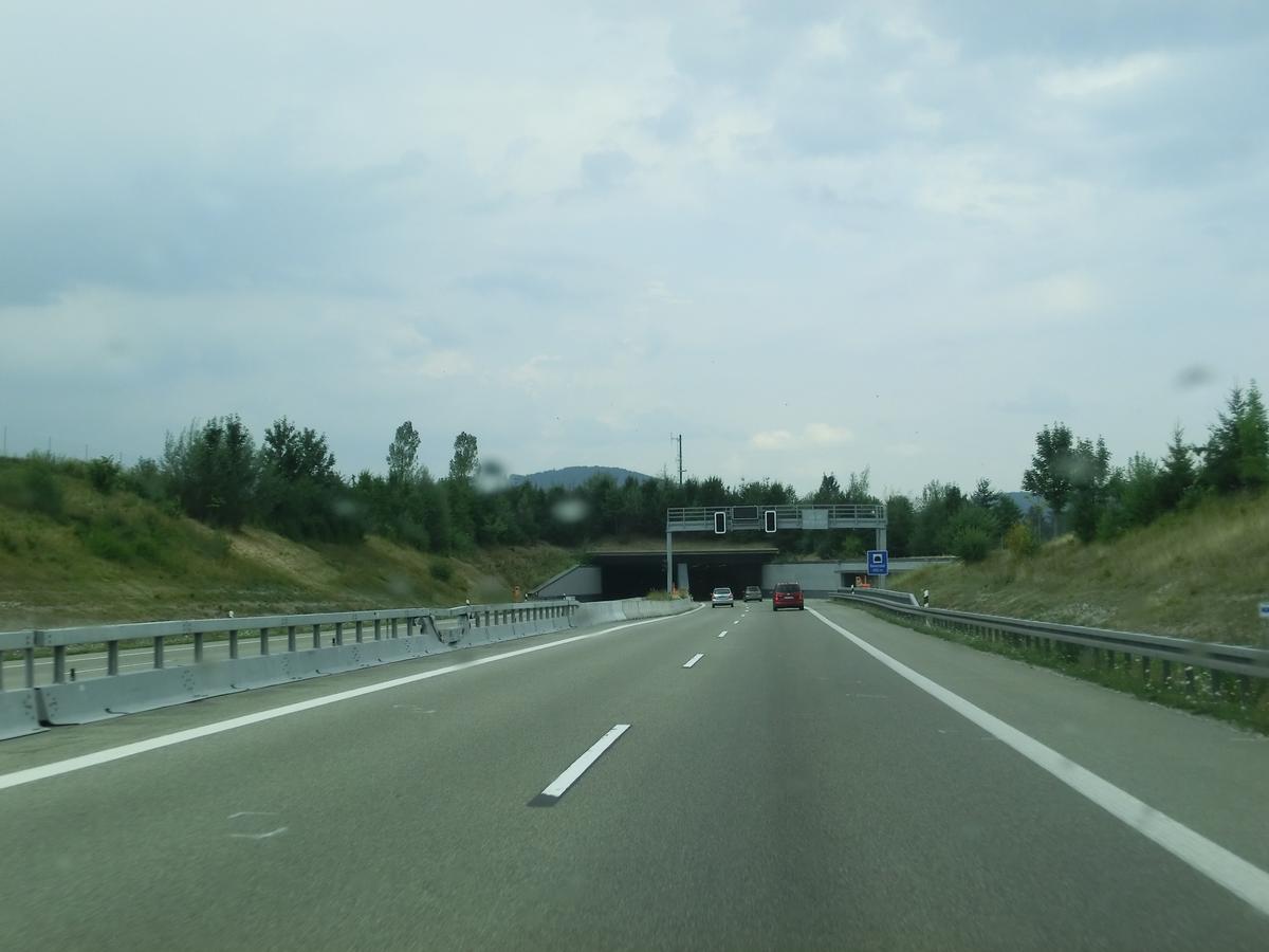 Reinertshof Tunnel 