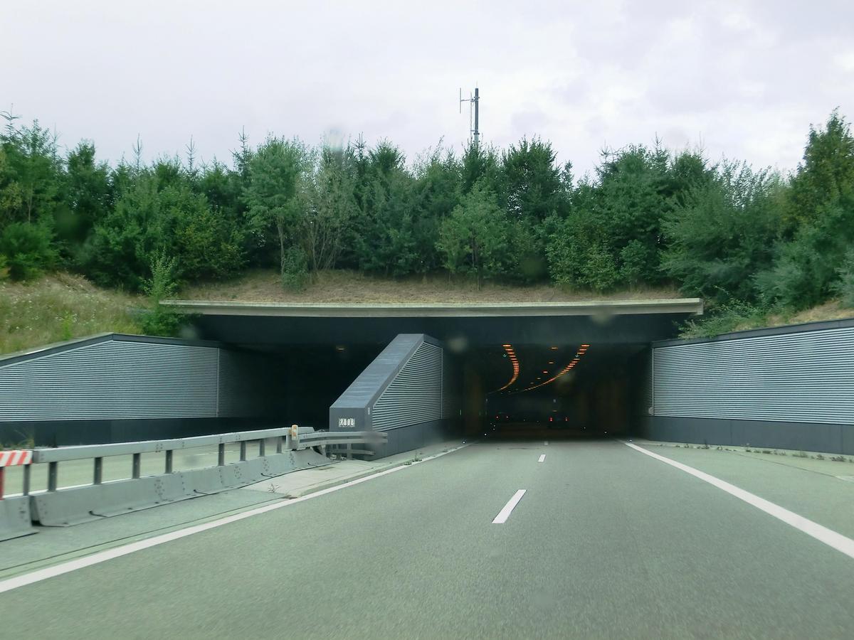 Tunnel du Reinertshof 