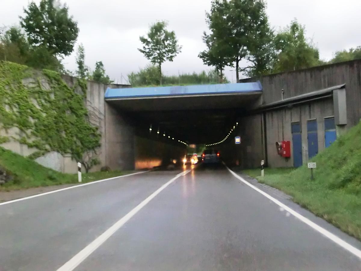 Diepoldsberg Tunnel western portal 