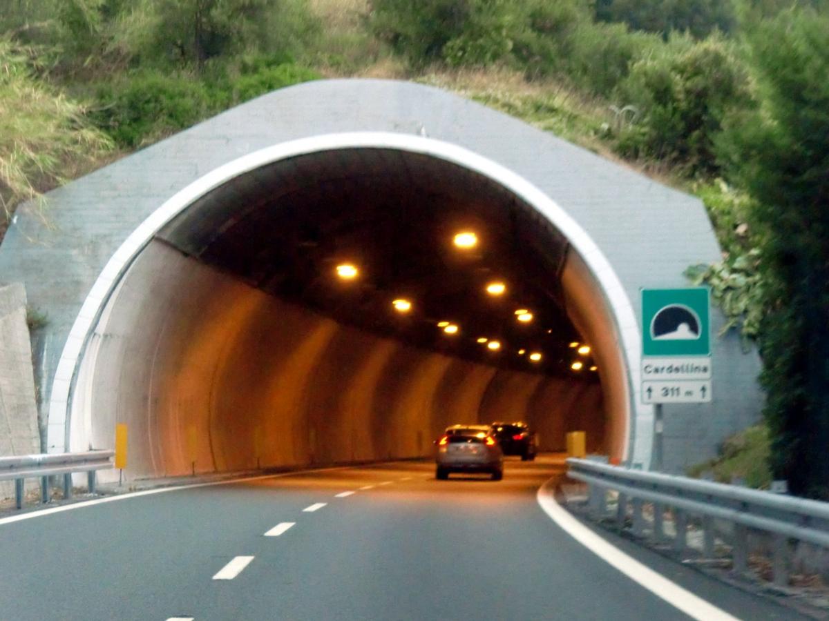 Cardellina Tunnel, western portal 