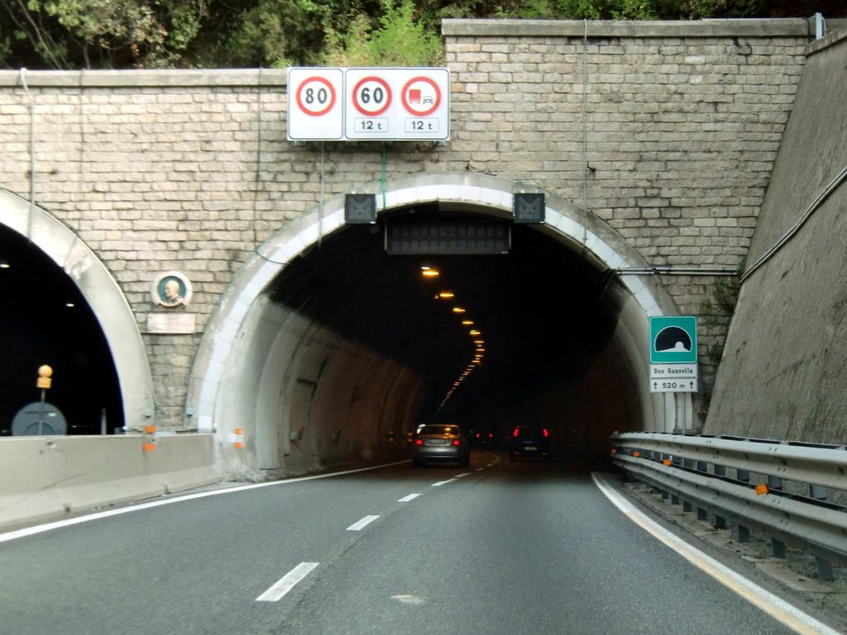 Don Guanella Tunnel, western portal 