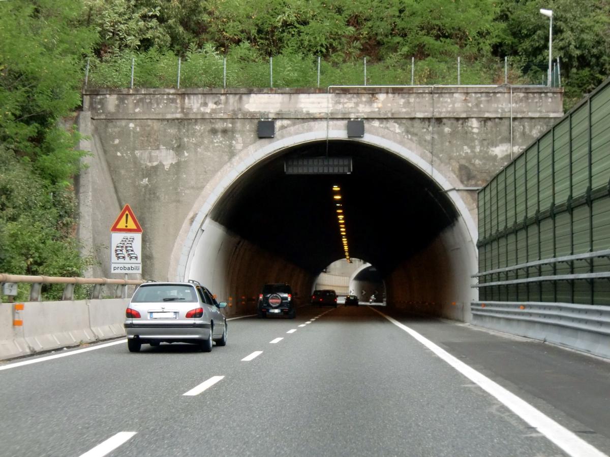 Tunnel Lupo 