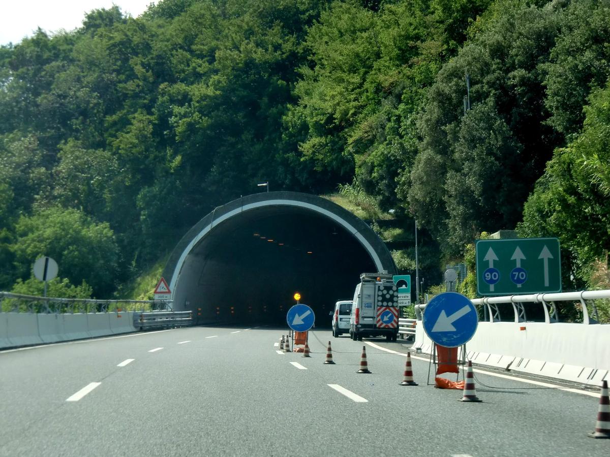 Mervalo Tunnel eastern portal 