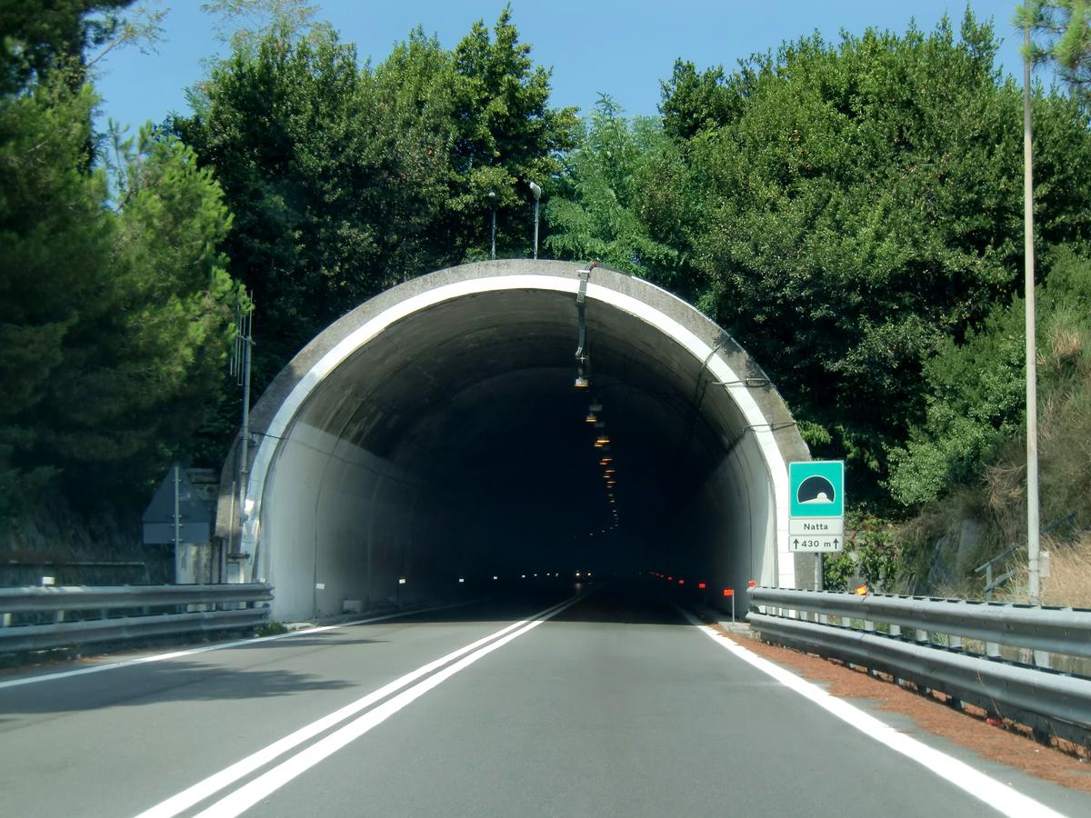 Natta Tunnel southern portal from Celle Ligure toll station 