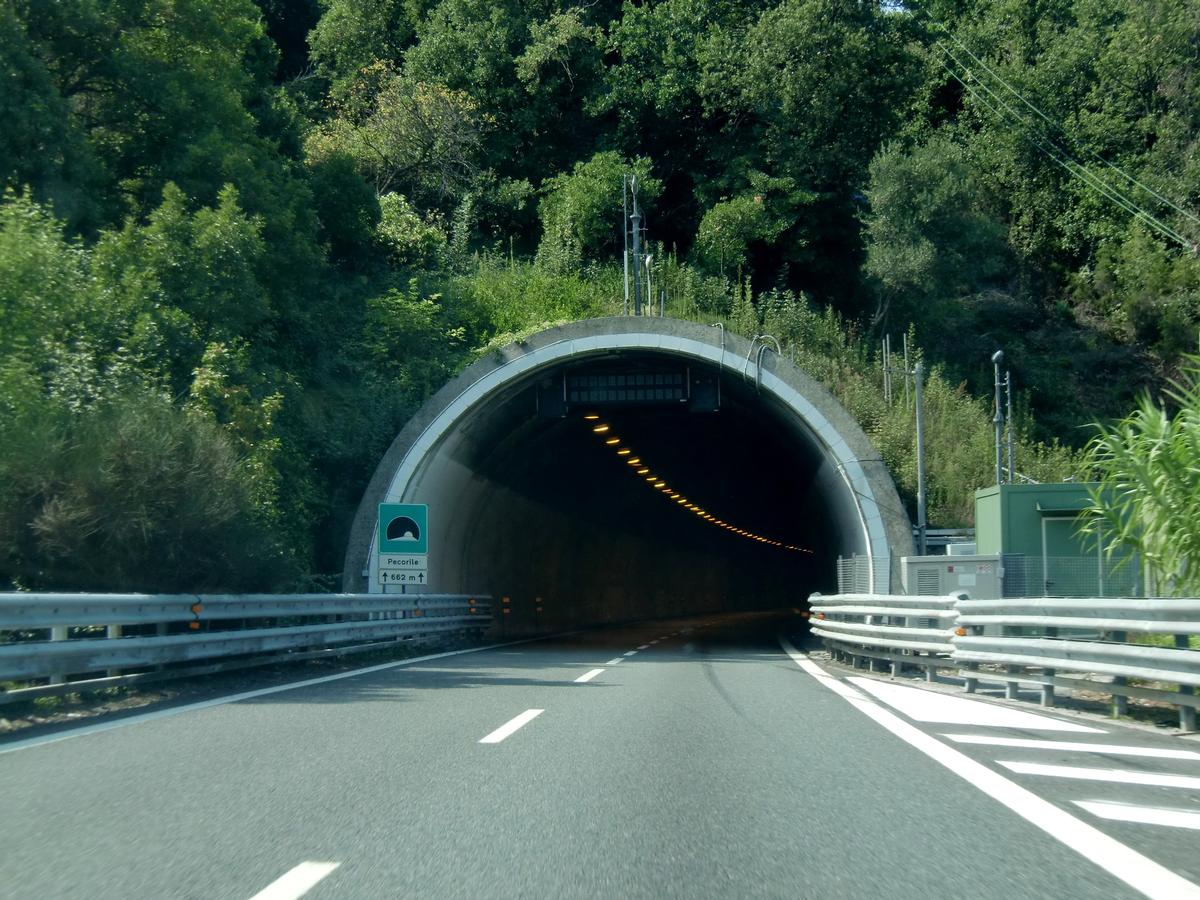 Tunnel de Pecorile 