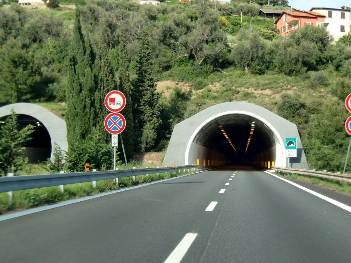 Poggi Tunnel eastern portals 