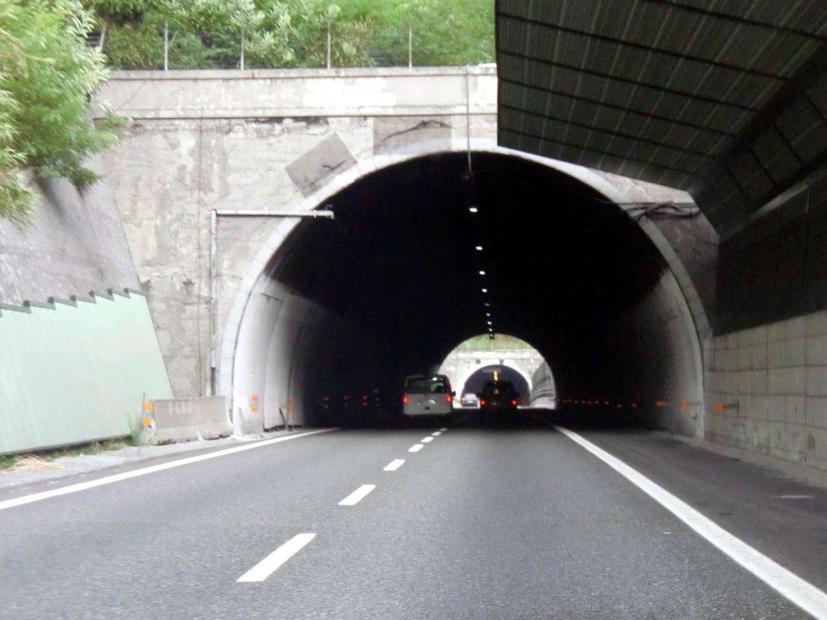 Rexello Tunnel, western portal 