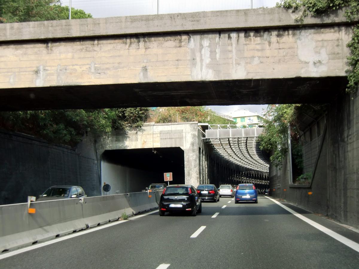 Rollino Tunnel (on the left) and Rollino noise reduction Tunnel, western portals 