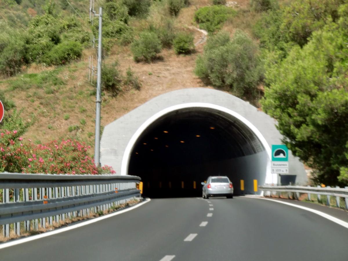 Suseneo Tunnel, eastern portal 
