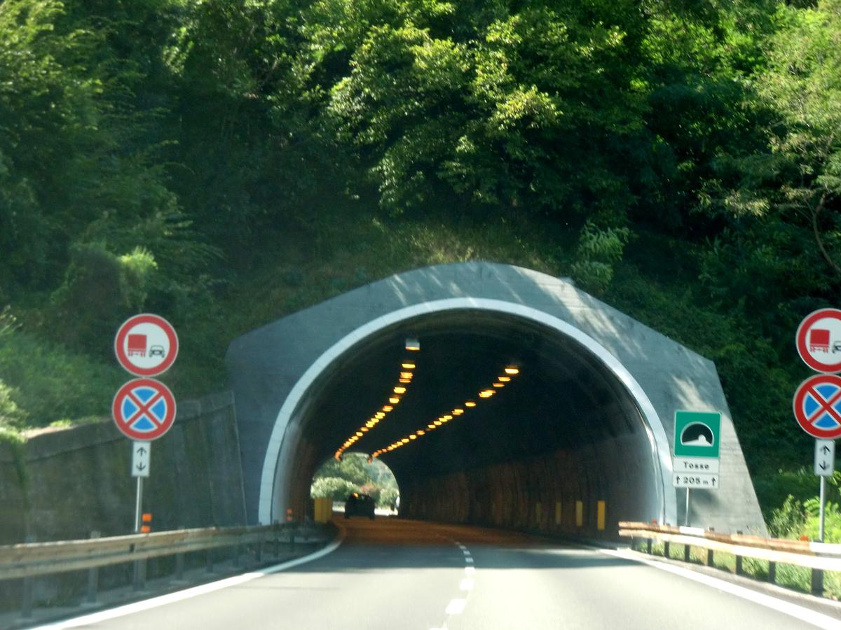 Tosse Tunnel eastern portal 