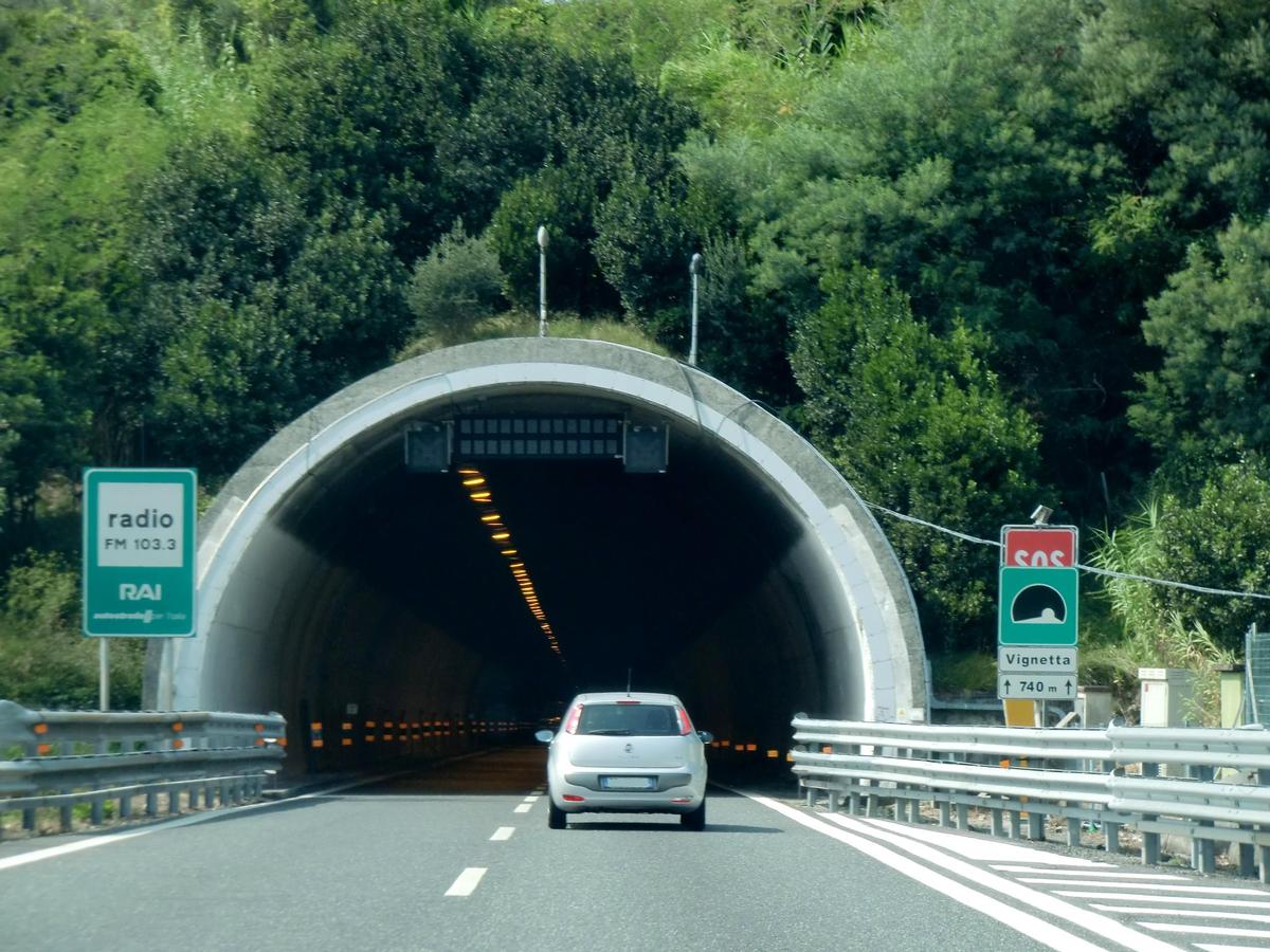 Vignetta Tunnel eastern portal 