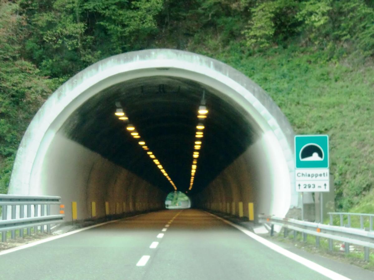 Chiappeti Tunnel western portal 
