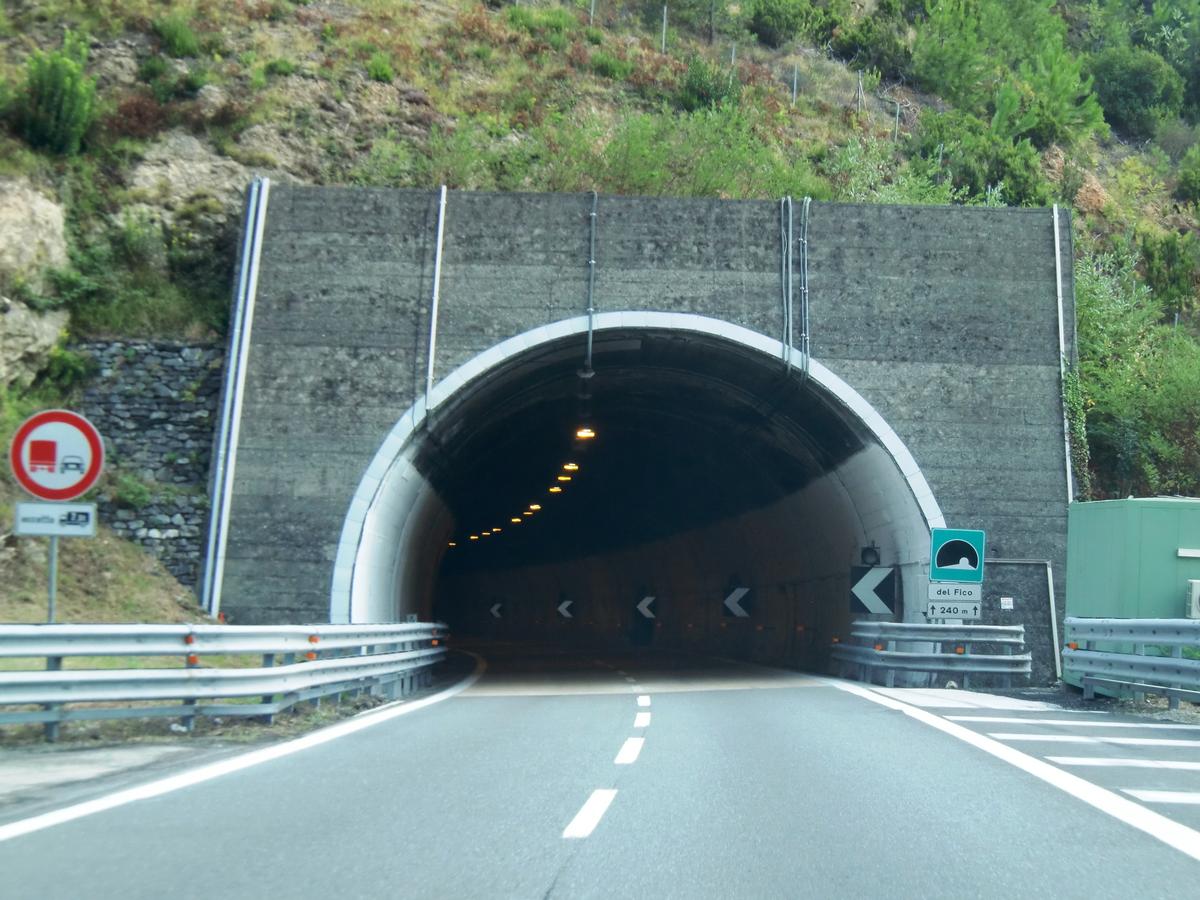 Tunnel de Del Fico 