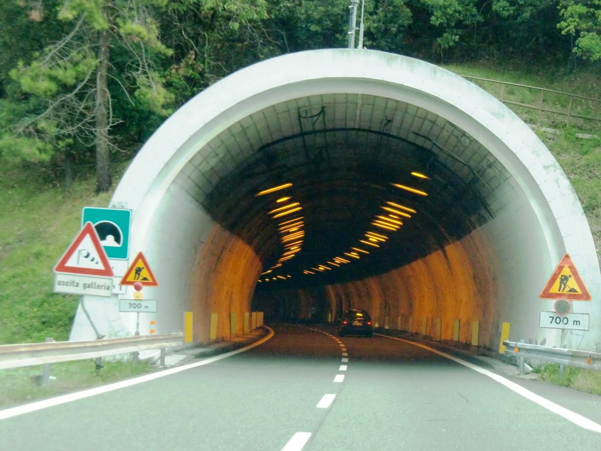 Foce Tunnel western portal 