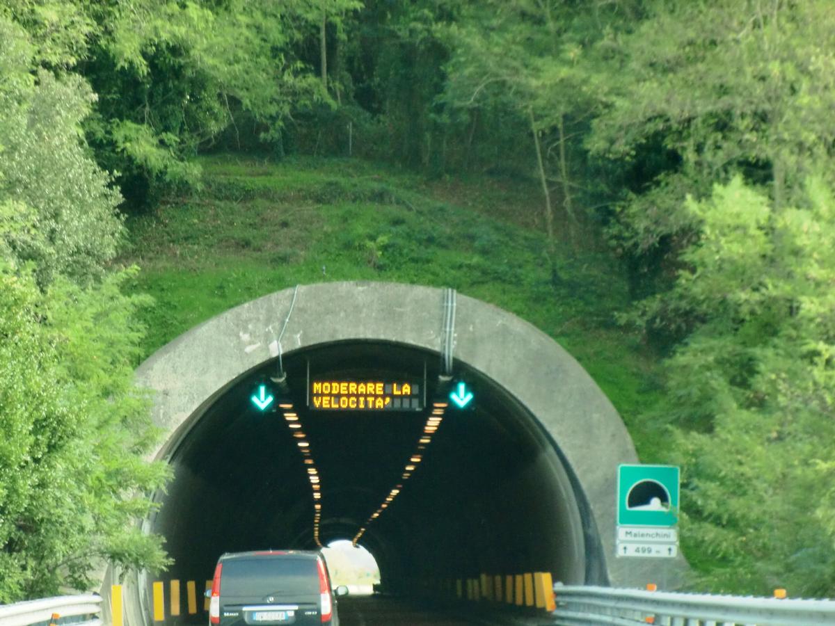 Tunnel Malenchini 
