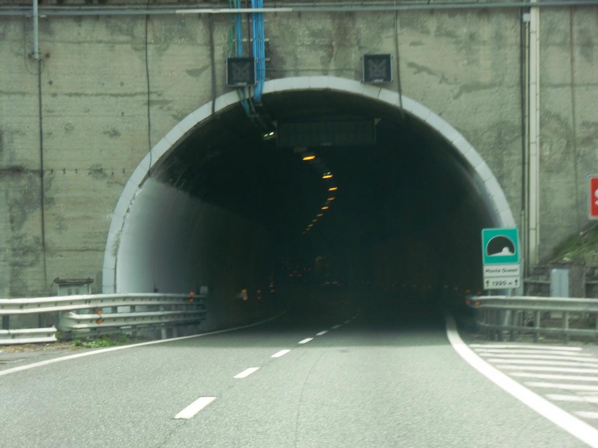 Monte Quezzi Tunnel western portal 