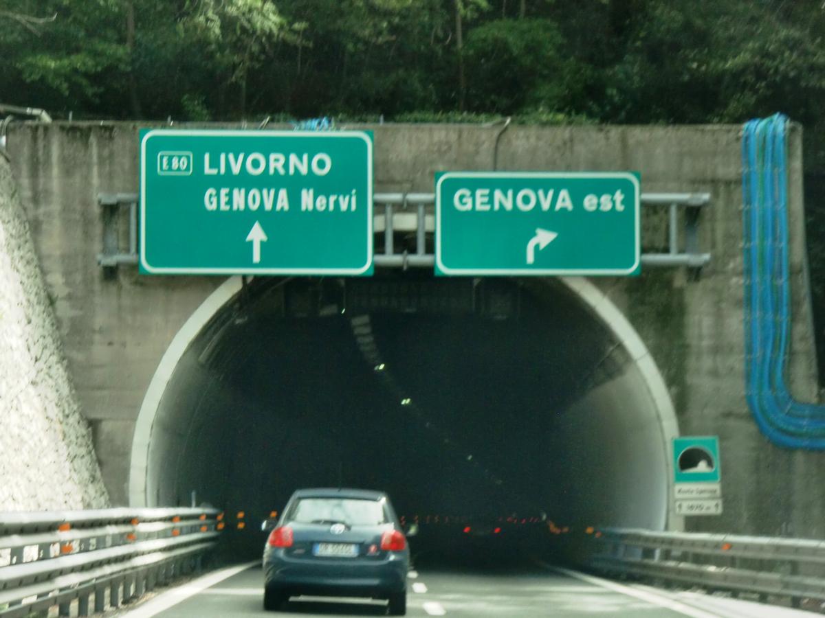 Monte Sperone Tunnel western portal 