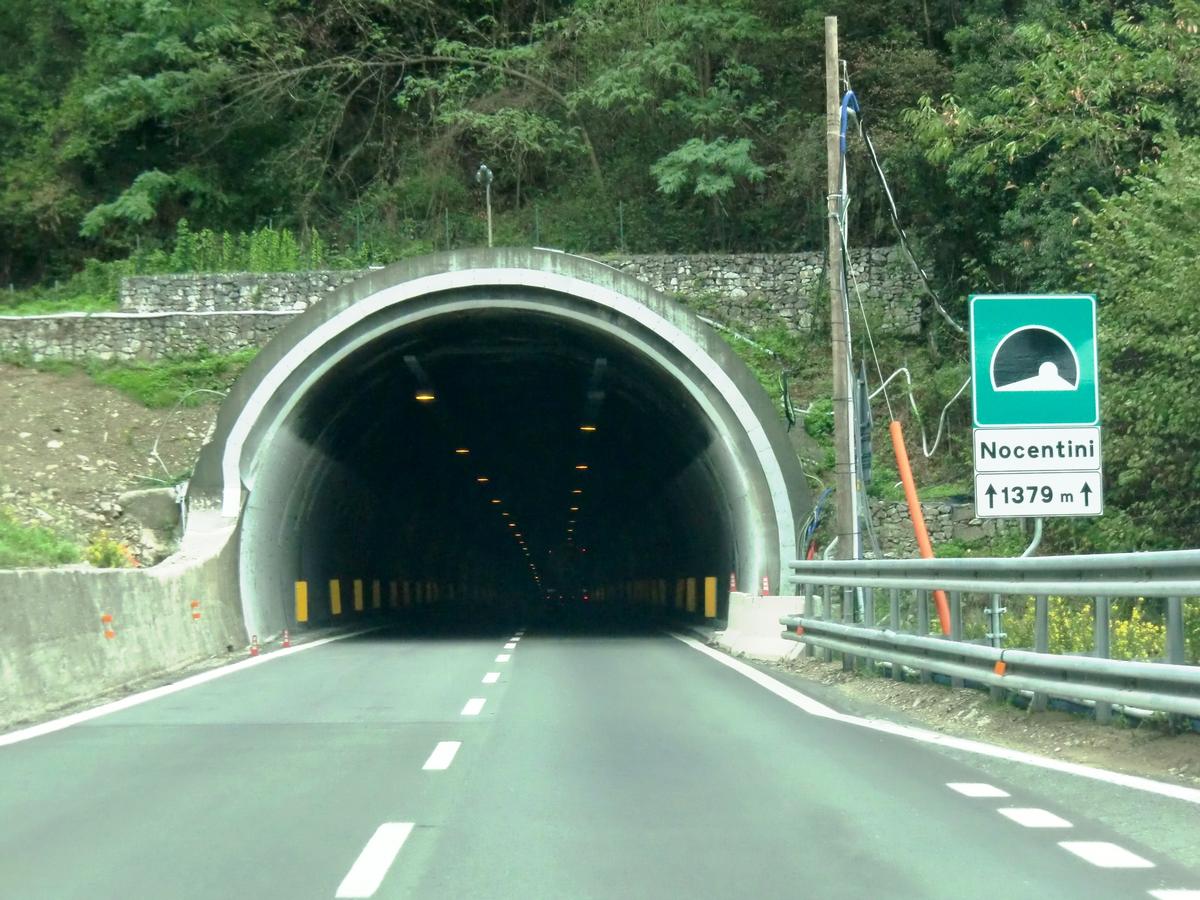 Nocentini Tunnel western portal 
