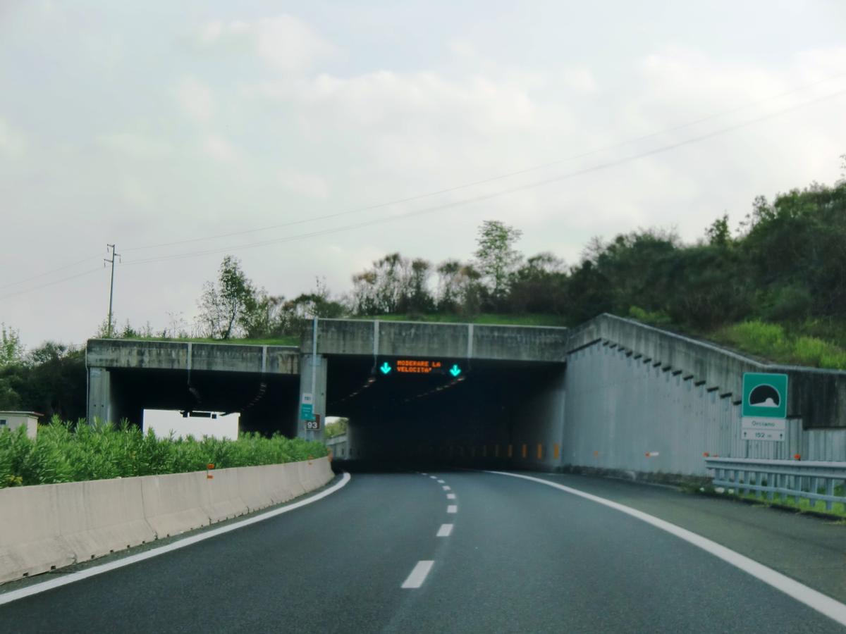Tunnel de Orciano 