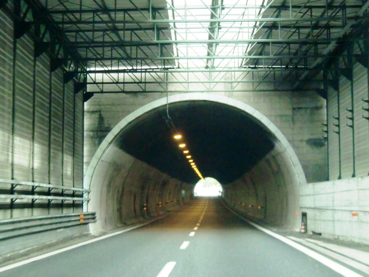Rapallo Tunnel western portal 