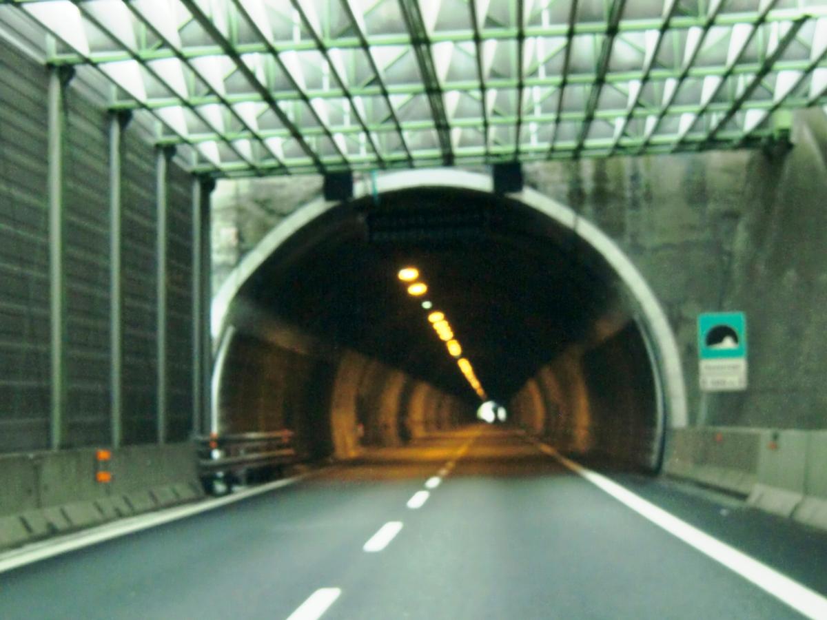 Sessarego Tunnel western portal 